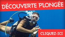 decouverte plongï¿œe