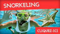 snorkeling